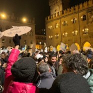 La révolte des sardines